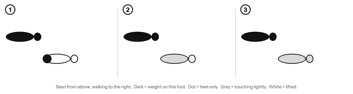 Foot diagram from above showing the foot rolling from heel to flat, touching three points of the sole