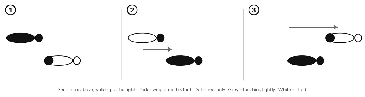 Foot diagram seen from above: heel down, roll the foot flat, shift the weight, step
